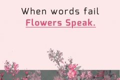 Quote-of-the-day