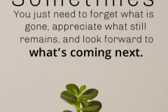 quoteoftheday